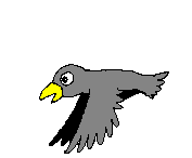 flying_crow