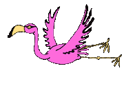 flying_flamingo