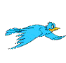 flying_pelican